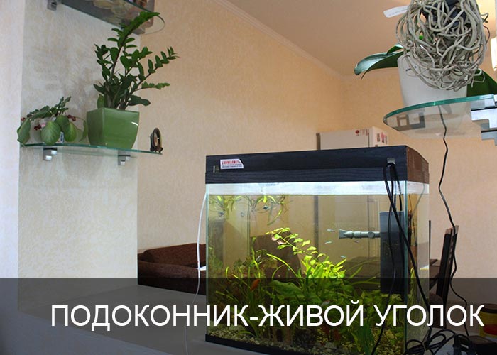 Подоконник-живой уголок